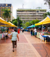 Feira de produtos artesanais de agricultura familiar  realizada nesta segunda-feira (14) em Cuiab